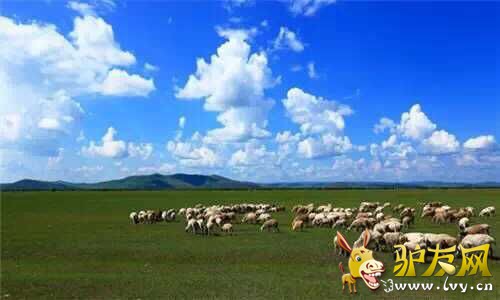 QQ图片20150711103717.jpg