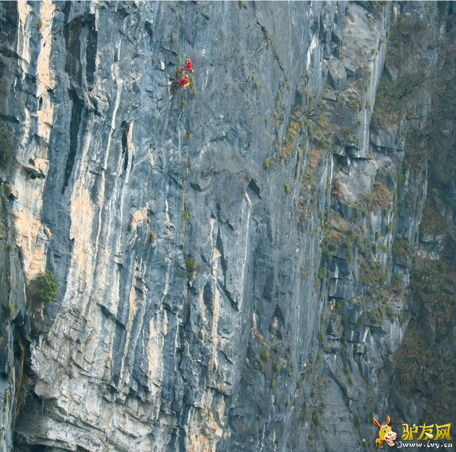 QQ截图20160511144747.png